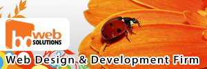 BD Web Solutions